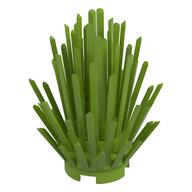 Plant, Bush 2 × 2 × 4 Lime