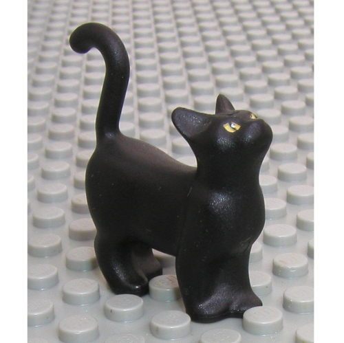 Animal, Cat, Standing with Yellow Eyes Print Black