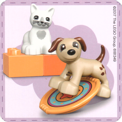 Find a Pair Card from Set 40267-1 [Keine Farbe/Beliebige Farbe]