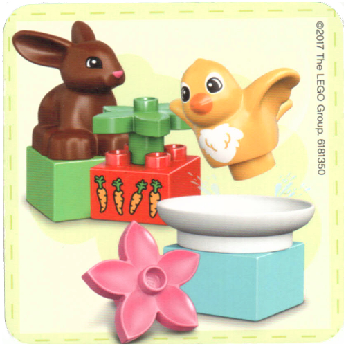 Find a Pair Card from Set 40267-1 [No Color/Any Color]