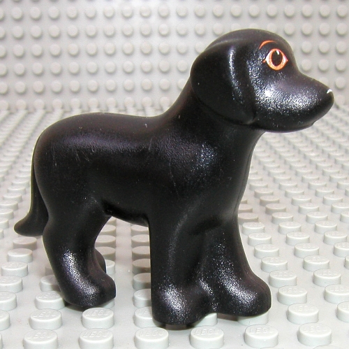 Animal, Dog, Standing with Eyes and White Nose Print Schwarz
