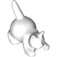 Animal, Cat, Kitten Crouching [Plain] White