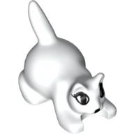 Animal, Cat, Kitten Crouching with Black Eyes, Eyelashes, and Nose Print Weiß