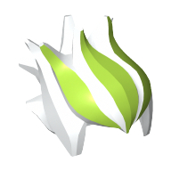 Hair Spiked Top with Lime Green Streaks Print Weiß