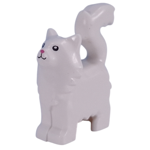 Animal, Cat with Furry Chest, Bright Pink Nose print White