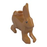 Animal, Rabbit / Hare, with Black Eyes with White Pupil Print