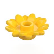 Plant, Sunflower 2 × 2 with 16 Petals
