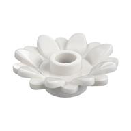 Plant, Sunflower 2 × 2 with 16 Petals White