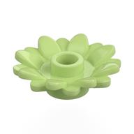 Plant, Sunflower 2 × 2 with 16 Petals Yellowish Green