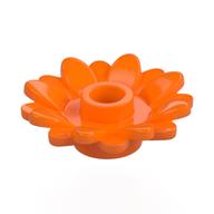 Plant, Sunflower 2 × 2 with 16 Petals Orange
