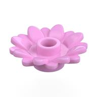 Plant, Sunflower 2 × 2 with 16 Petals Bright Pink