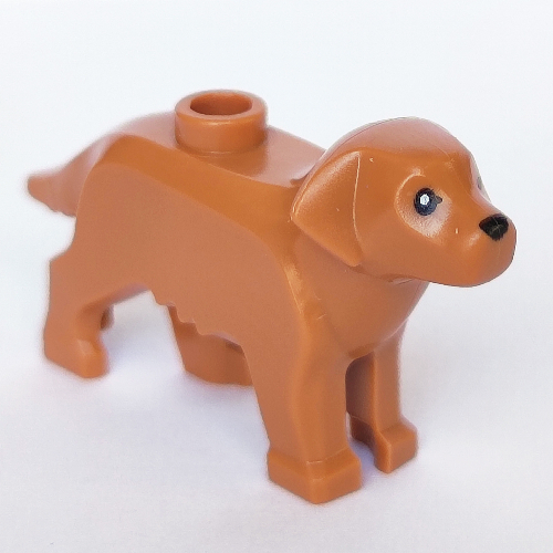 Animal, Dog, with 1 Eye and Nose Print Medium Nougat