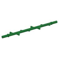 Plant, Vine with Spikes Green