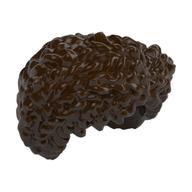 Hair Coiled, Parted Dark Brown