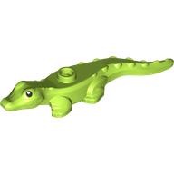 Animal, Alligator / Crocodile Baby with Black Eyes print Lime