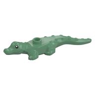 Animal, Alligator / Crocodile Baby with Black Eyes Print