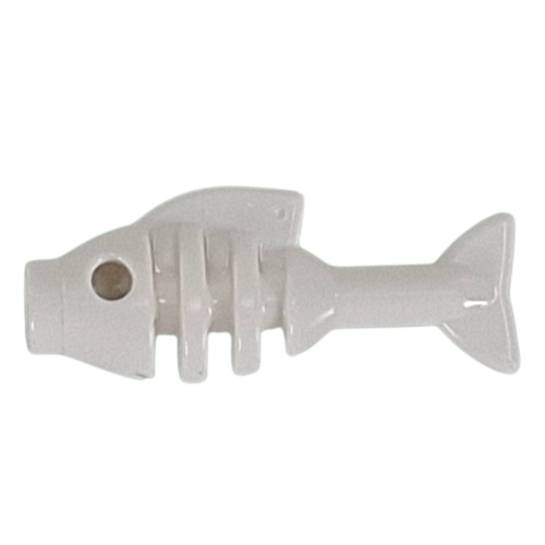 Animal, Fish Skeleton White