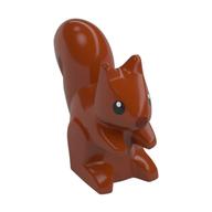 Animal, Squirrel, Standing, Black Eyes and Reddish Brown Nose Print Dunkelorange