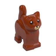 Animal, Cat, Kitten, Short Tail, Tan Muzzle Print Dunkelorange