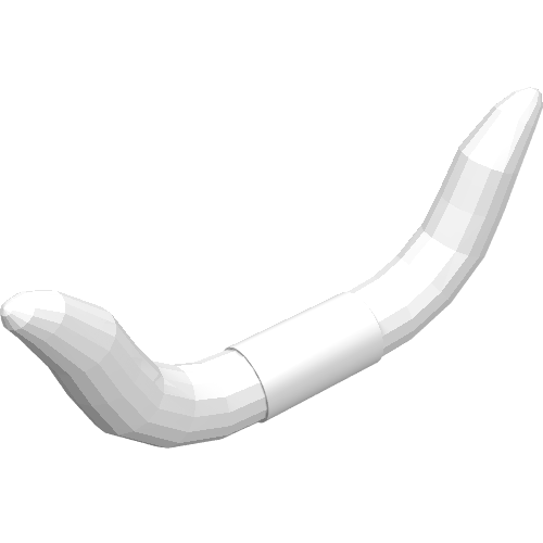 Tier Körperteil, Horn, Rind Weiß