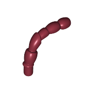 Insect Body Part, Antenna Dark Red