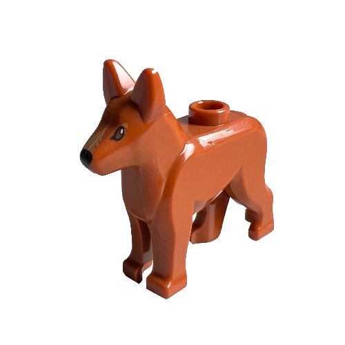 Animal, Dog, Alsatian / German Shepherd (Police Dog) with Black Eyes, Dark Tan Muzzle Print Dark Orange