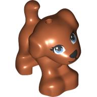 Animal, Dog, Small Standing with Blue Eyes, Black Nose Dark Orange