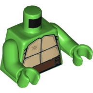 Torso Turtle Shell Print, Bright Green Arms and Hands Bright Green