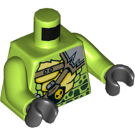 Torso Snake Chest, Dark Green Spots, Straps, Potion with Skull Print, Lime Arms, Black Hands Limette