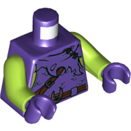 Torso Tunic, Tattered, Scales, Reddish Brown Belt, Cloak Print, Lime Arms, Dark Purple Hands Dark Purple