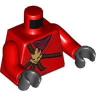 Torso Robe with Brown Rope, Gold Medallion and Dark Red Undershirt Print, Red Arms, Black Hands Red