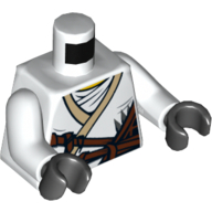 Torso Robe, Brown Rope and White Undershirt / Gold Lion on Back Print, White Arms, Black Hands White