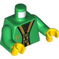 Torso Robe with Gold Trim, Gold Asian Symbol Print (Hutchins), Green Arms, Yellow Hands Green