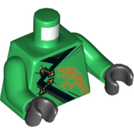 Torso Robe, Black Trim, Gold Dragon Print, Green Arms, Black Hands Grün
