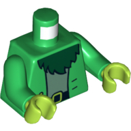 Torso Jacket with Two Buttons over Light Blue Shirt and Dark Green Beard Print, Green Arms, Lime Hands Grün