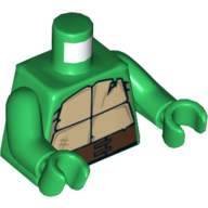 Torso Turtle Shell with Crack and Dark Brown Horizontal Belt Print, Green Arms and Hands Green