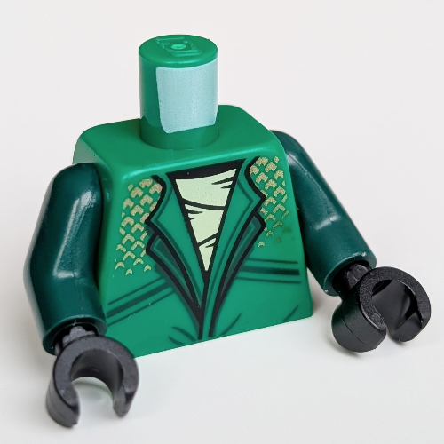 Torso, Ninja Robe, White Shirt, Gold Decorations, Snake On Back print, Dark Green Arms, Black Hands Green