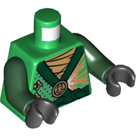 Torso Robe with Dark Green Trim Print (Lloyd), Dark Green Arms, Black Hands Grün
