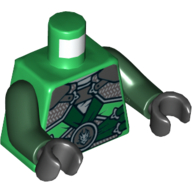 Torso Robe, Shoulder Armor with Dark Green Belts and Dragon Emblem Print, Dark Green Arms, Black Hands Green