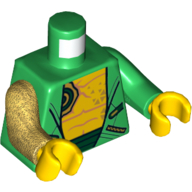 Torso, Odd Arms, Hoodie, Open over Bare Chest, Dark Green Belt Print, Left Green Arm, Right Pearl Gold Arm, Yellow Hands Green