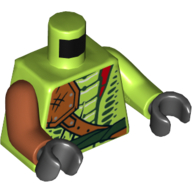 Torso, Odd Arms, Snake with Shoulder Pad and Dark Green Belt and Red Vials Print, Left Lime Arm, Right Dark Orange Arm, Back Hands Limette