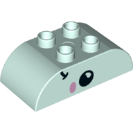 Duplo Brick 2 × 4 Curved Top with Fish Face Print Light Aqua