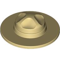Hat, Campaign in 