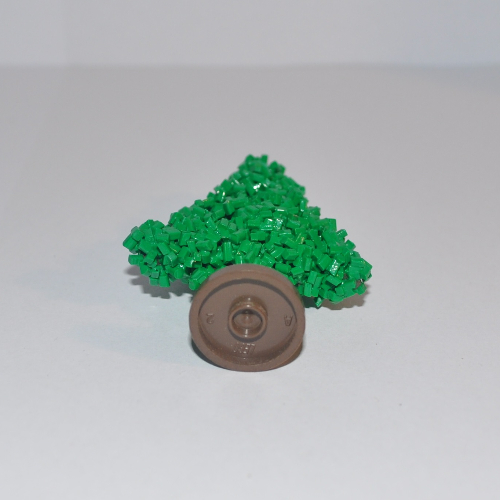 Plant, Tree Granulated Pine Grün