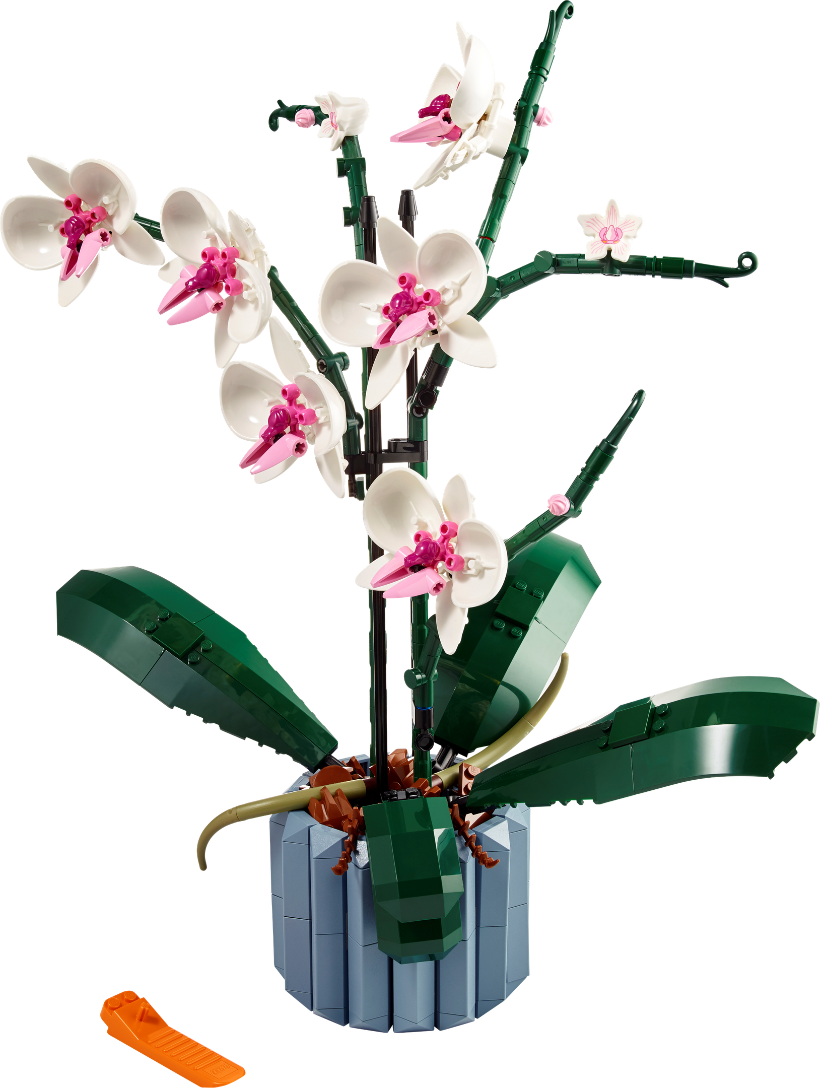 Set 10311 Orchidee