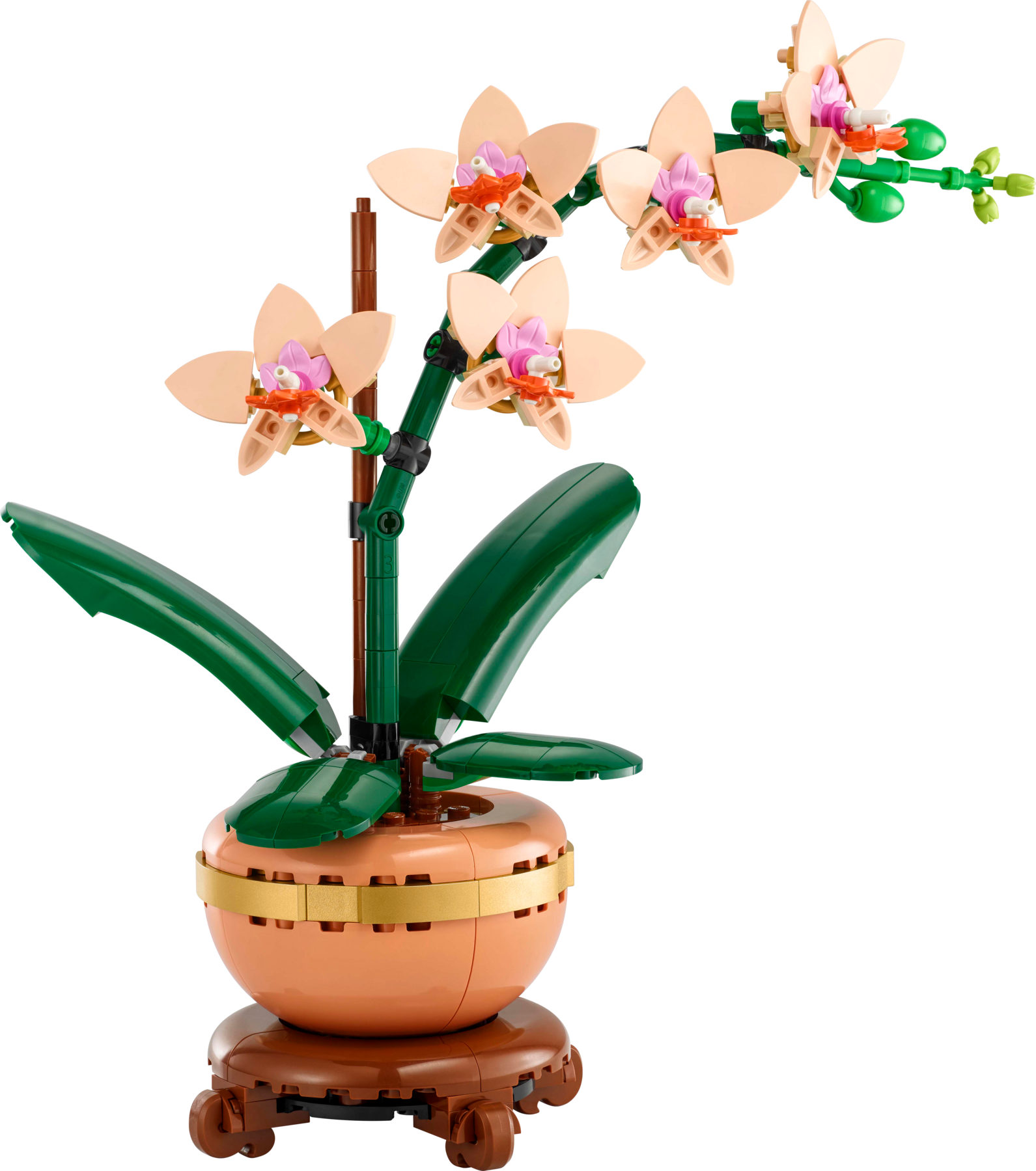 Set 10343 Mini-Orchidee