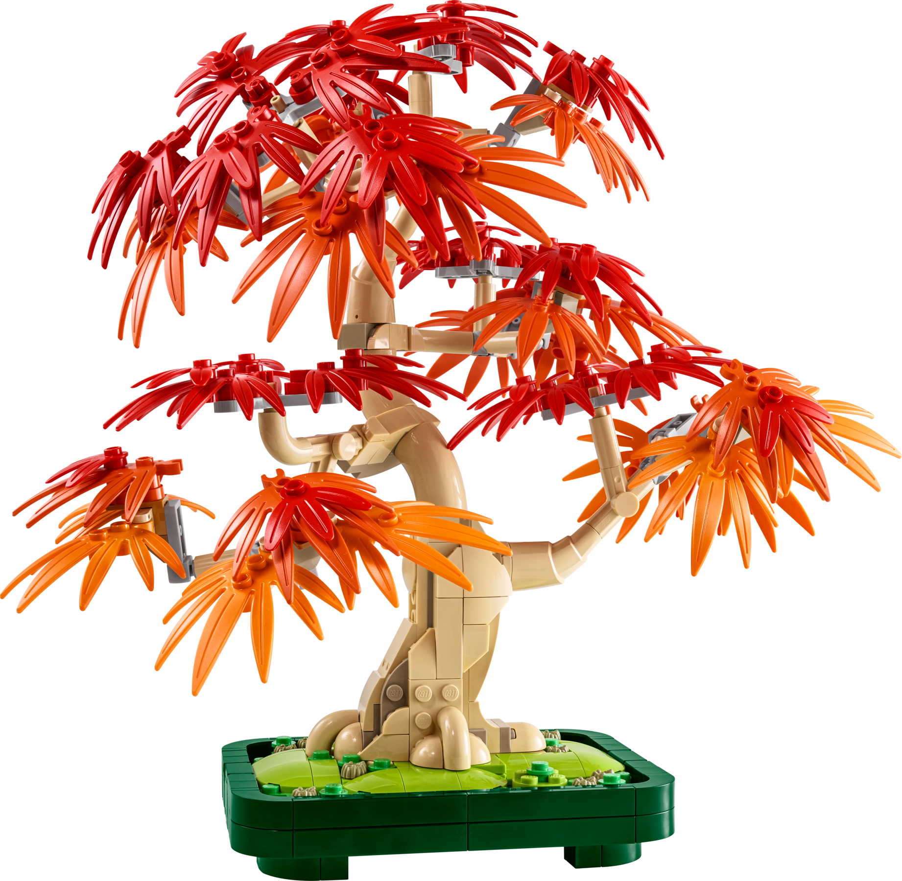 Set 10348 Japanese Red Maple Bonsai Tree