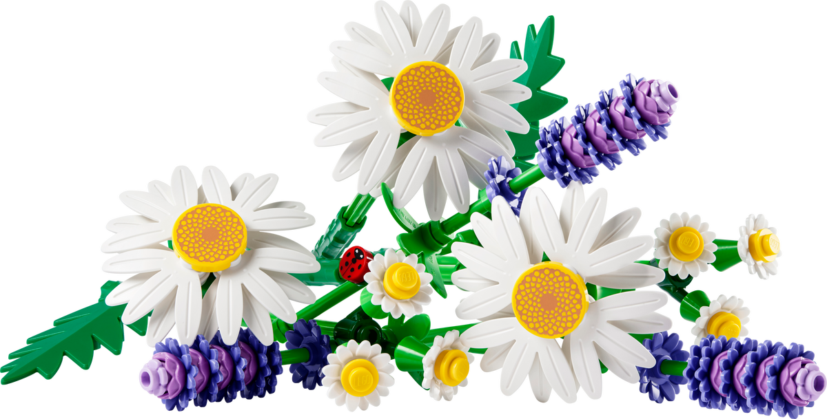 Set 11508 Daisies