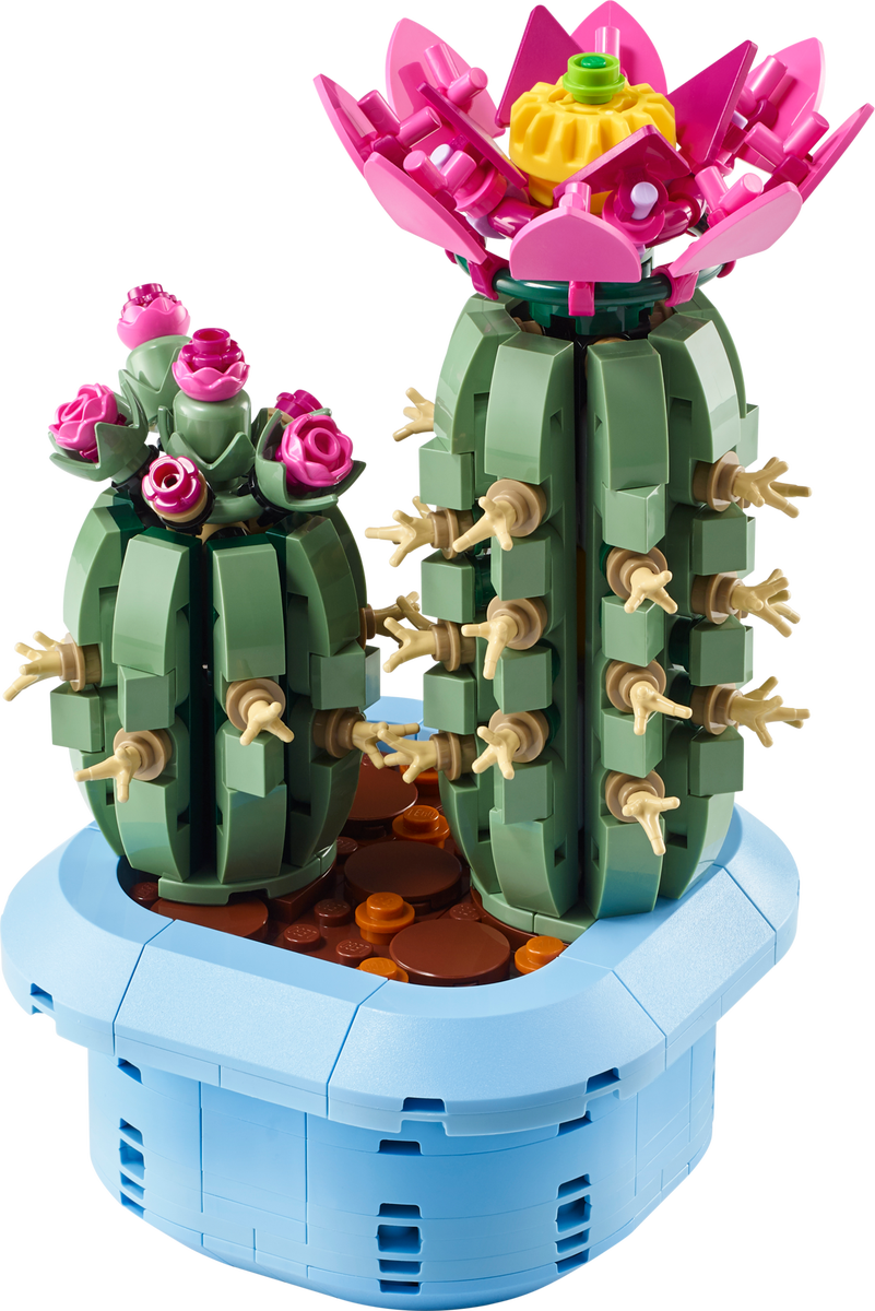 Set 11509 Blühender Kaktus