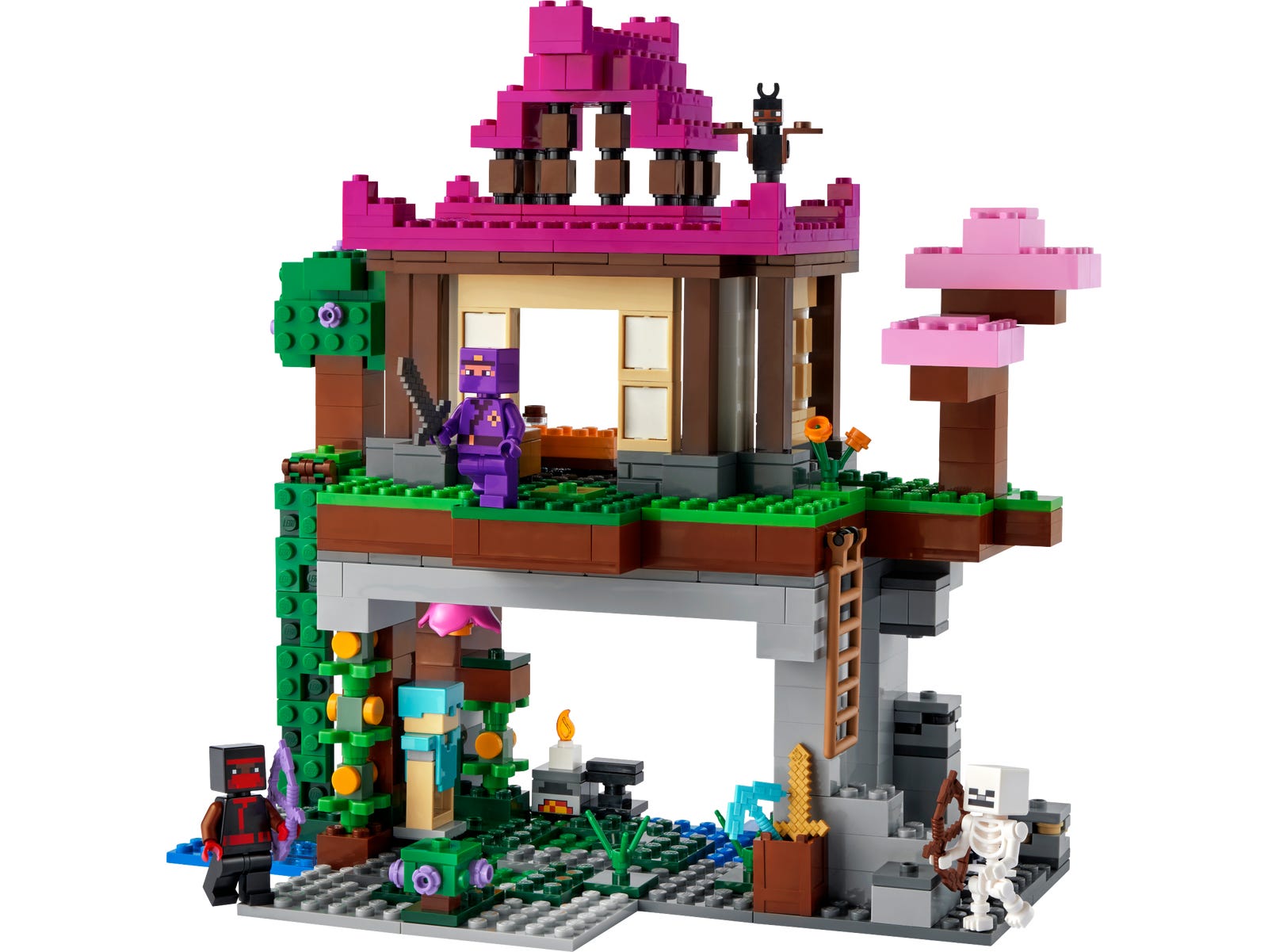Set 21183 The Training Grounds